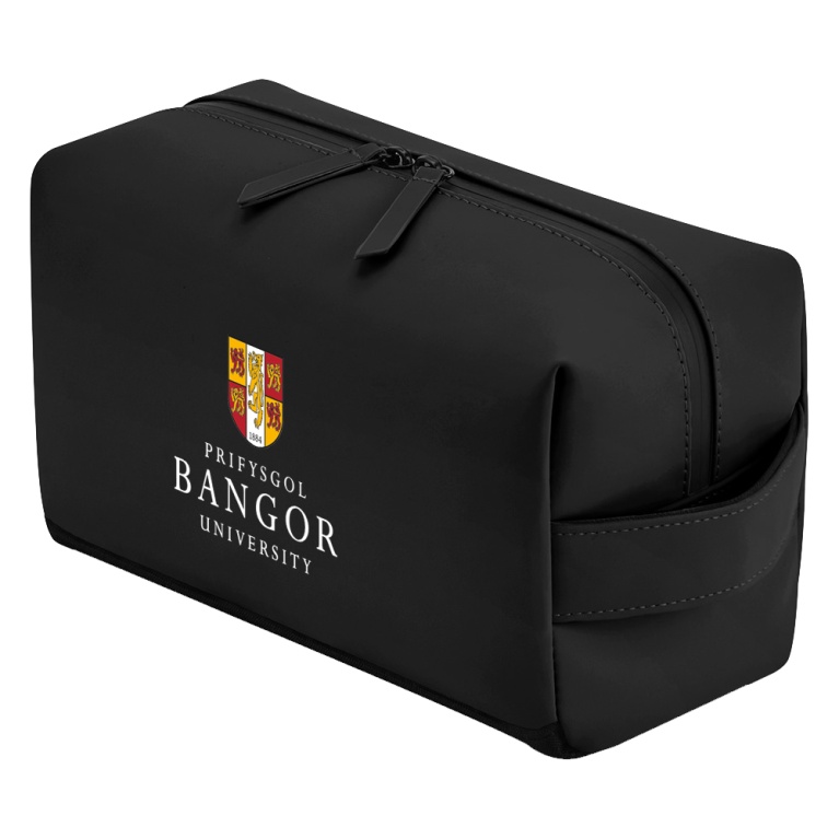 TOILETRY BAG - BLACK